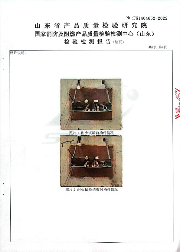 無(wú)機(jī)堵料DW-A3型式試驗(yàn)報(bào)告